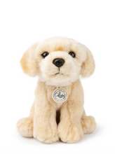 Load image into Gallery viewer, B.T. CHAPS LOULOU THE LABRADOR BEIGE 20 CM - 8 INCH