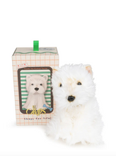 Load image into Gallery viewer, B.T. CHAPS TIMOTHY THE SCOTTISH TERRIER IN GIFT BOX  WHITE 17 CM - 7 INCH