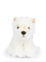 Load image into Gallery viewer, B.T. CHAPS TIMOTHY THE SCOTTISH TERRIER IN GIFT BOX  WHITE 17 CM - 7 INCH