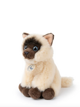 Load image into Gallery viewer, B.T. CHAPS EDDIE THE SIAMESE IN GIFTBOX BEIGE / BROWN 17 CM - 7 INCH