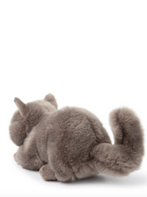 Load image into Gallery viewer, B.T. CHAPS FREDDY THE BRITISH SHORTHAIR IN GIFTBOX GREY 20 CM - 8 INCH