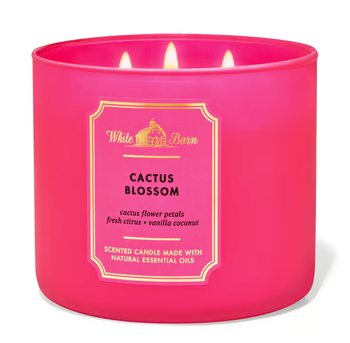 Bath & Body Works Cactus Blossom Candle 411g 26291246