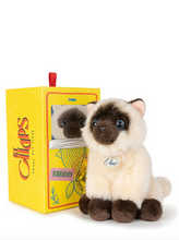 Load image into Gallery viewer, B.T. CHAPS EDDIE THE SIAMESE IN GIFTBOX BEIGE / BROWN 17 CM - 7 INCH
