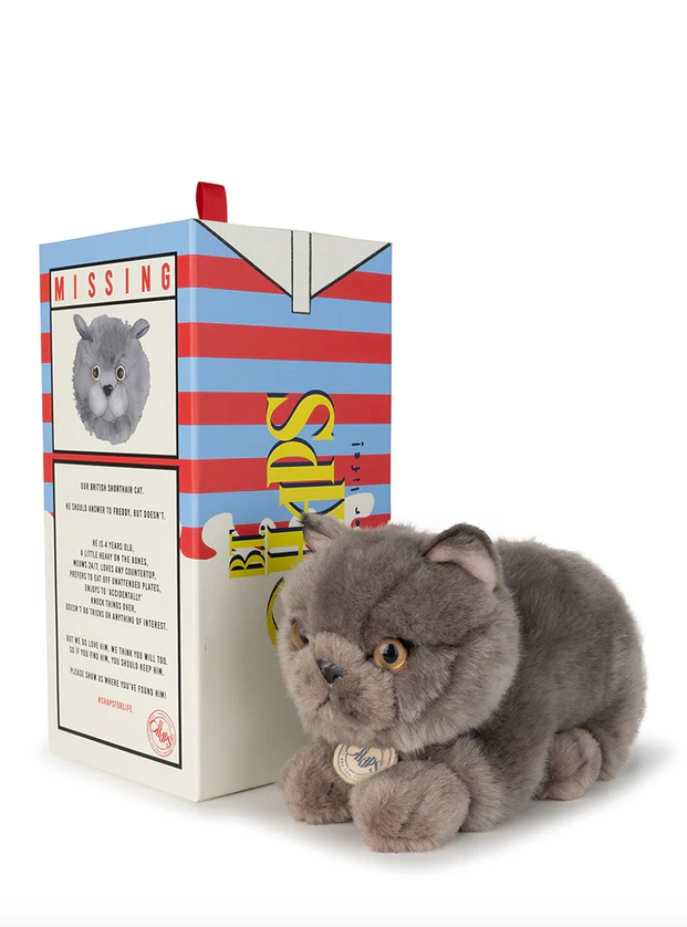 B.T. CHAPS FREDDY THE BRITISH SHORTHAIR IN GIFTBOX GREY 20 CM - 8 INCH