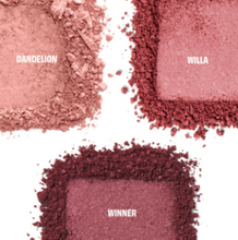 Load image into Gallery viewer, BENEFIT Cheek Score Blush Trio Palette
